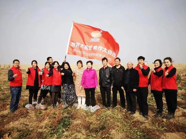 11月12日，眾人翹首以盼的太極莊山藥采挖活動在太極莊公司的溫縣·富硒鐵棍山藥標(biāo)準(zhǔn)化種植基地拉開帷幕